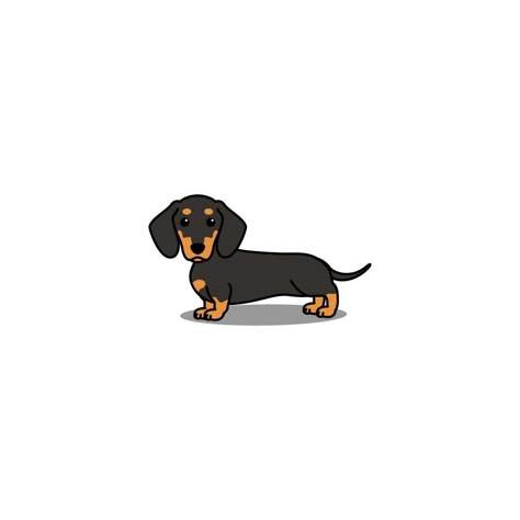 Dog Chocolate, Dachshund Drawing, Dachshund Painting, Dachshund Tattoo, Doll Drawing, 동화 삽화, Dachshund Art, Really Cute Dogs, Dog Vector