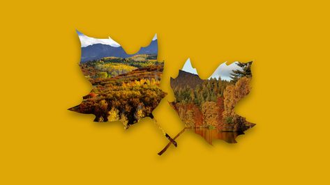 Fall Foliage Map, Old Farmers Almanac, Leaf Peeping, Autumn Scenes, Best Credit Cards, The Weather Channel, Forest Service, Fall Decorations, Gold Orange