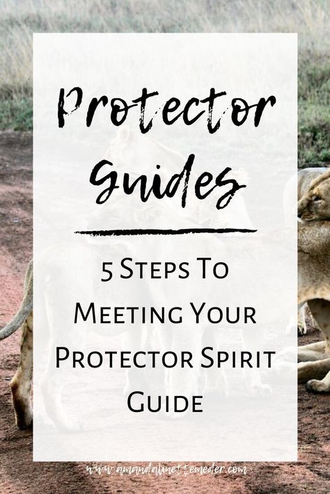 Article: Protector Spirit Guides: What Is Their Purpose? How Can You Meet One? Photo by    joel herzog    on    Unsplash    with text overlay of text: Protector Guides - 5 Steps To Meeting Your Protector Spirit Guide. Psychic Exercises, Earth Guardian, Spirit Guides Meditation, Witchy Business, Healing Quotes Spiritual, Metaphysical Spirituality, Spiritual Psychology, Spirit Communication, Irish Quotes