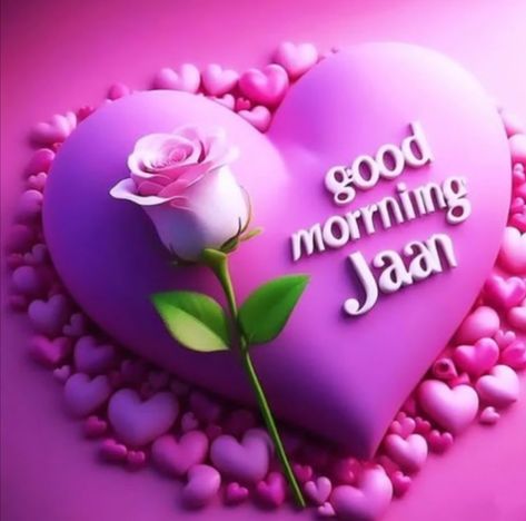 Good Morning Jaan, Gd Morning, Good Morning, Quick Saves