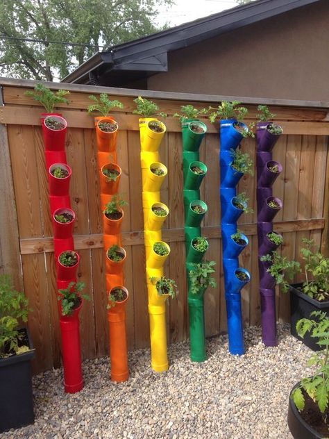 Q: What other ways have you seen PVC Pipe "repurposed" for a very different 2nd life? Customer Project: "Using PVC Pipe to grow our strawberries saves space and makes harvesting a breeze. Plus, the durability of the PVC ensures our setup lasts for seasons to come." - Alex in Colorado Alex, we value your business!! Start your own DIY project and shop our inventory - LINK IN BIO Pvc Pipe Garden Ideas, Garden Ideas For Beginners, Garden Design Ideas Inspiration, Garden Design Ideas On A Budget, Garden Design Layout Landscaping, Garden Diy On A Budget, House Front Wall Design, Front Wall Design, Design On A Budget