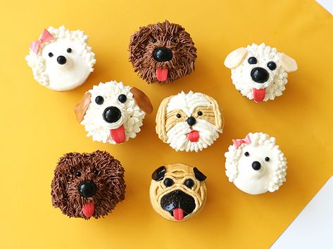 Dog Cupcakes for Food Network – Alana Jones-Mann Puppy Cakes, Cupcake Receptek, Puppy Cupcakes, Cake Dog, Dog Cupcakes, Diy Cupcake, Birthday Party Treats, Puppy Cake, Cupcake Wars