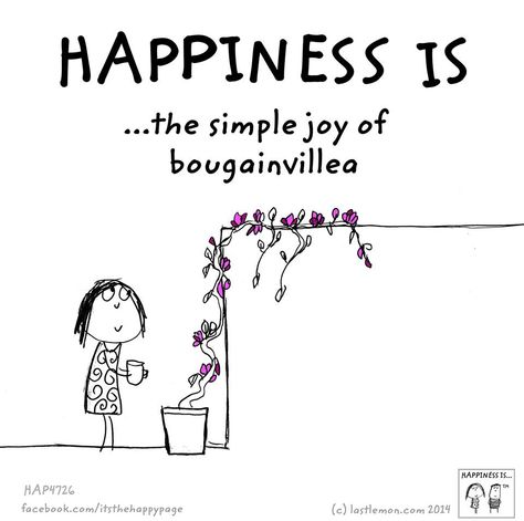 Bougainvillea Quotes, Last Lemon, Cute Happy Quotes, What Is Happiness, Rose Quotes, Life Is What Happens, Soothing Quotes, Reasons To Be Happy, Happiness Project