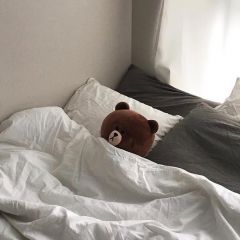 طابع بريدي, Asian Homes, Asian Home Decor, Gray Aesthetic, Kawaii Plushies, Korean Aesthetic, Beige Aesthetic, Line Friends, Brown Aesthetic