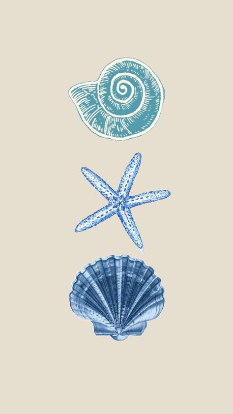 #wallpaper #shell #beach #ocean #blue #lockscreen #aesthetic Sea Shell Wallpaper, Shell Wallpaper, Aesthetic Ocean, Dark Blue Wallpaper, Cute Summer Wallpapers, Wallpaper Iphone Summer, Blue Wallpaper Iphone, Iphone Wallpaper Images, Beach Background