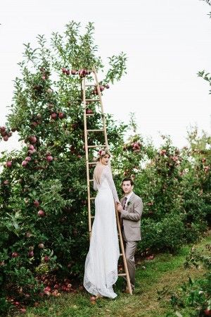 Autumn Orchard Romance Inspiration Shoot | Ruffled Orchard Wedding Ceremony, Romance Inspiration, Apple Orchard Wedding, Wedding Ideas On A Budget, Fall Wedding Ideas, Fall Wedding Color Palette, Orchard Wedding, Fashion Influencer, Apple Orchard