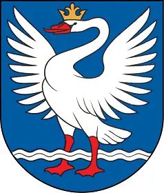 Goose Meaning & Examples of Heraldry Symbols - Charges - Custom Family Coat of Arms, hand painted family tree art Heraldry Symbols, Family Tree Artwork, Family Banner, Rio Rancho New Mexico, Coat Of Arms Design, Family Tree Art, Personalised Family Tree, Tree Artwork, Symbols And Meanings