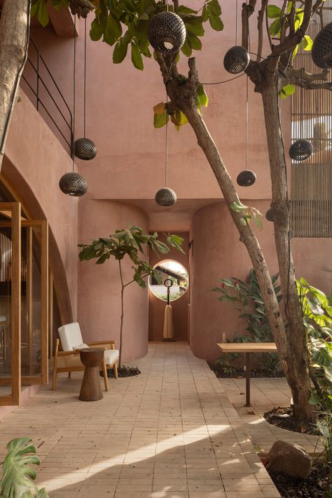 Estudio Carroll clads rounded Mexican hotel in pink chukum Oaxaca City Mexico, Coffee Shop Concept, Oaxaca City, Palm Wood, Concept Ideas, Hotel Interior Design, Hotel Boutique, Ground Floor Plan, Hotel Interior