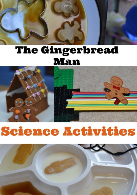 The Gingerbread Man Science Activity Ideas #scienceforkids #science #scienceexperiments #kidsscienceexperiments #scienceprojects Christmas Games For School, Gingerbread Man Science, Kindergarten Christmas Games, Gingerbread Kindergarten, Games For School, Gingerbread Man Unit, Gingerbread Unit, Gingerbread Man Activities, Gingerbread Activities