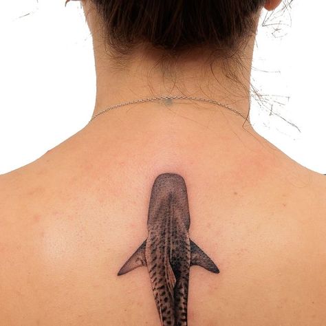 Aquatica Tattoo on Instagram: "Tiger Shark

By @billiebonestattoo for @moretti89" Tiger Shark Tattoo, Woodcut Tattoo, Shark Tattoo, Shark Tattoos, Tiger Shark, Hammerhead Shark, Tattoo On, Tattoos, On Instagram