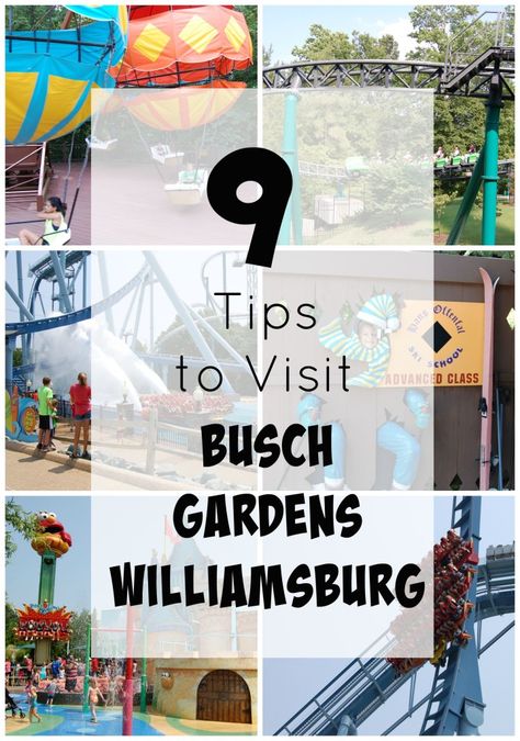 Tips for Busch Gardens Busch Gardens Virginia, Busch Gardens Williamsburg Outfit, Bush Gardens Williamsburg, Williamsburg Vacation, Busch Gardens Williamsburg, Bush Garden, Virginia Vacation, Summer Tips, Busch Gardens Tampa