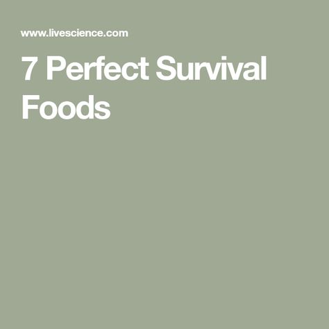 7 Perfect Survival Foods Stranded On An Island, Survival Foods, Survival Food