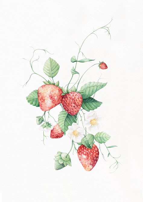 Strawberry Branch Drawing, Strawberry Plant Watercolor, Strawberry Vine Tattoo Black And White, Strawberry Plant Drawing, Strawberry Drawings, Strawberry Plant Tattoo, Strawberry Vine Tattoo, Peach Tattoo, Strawberry Drawing