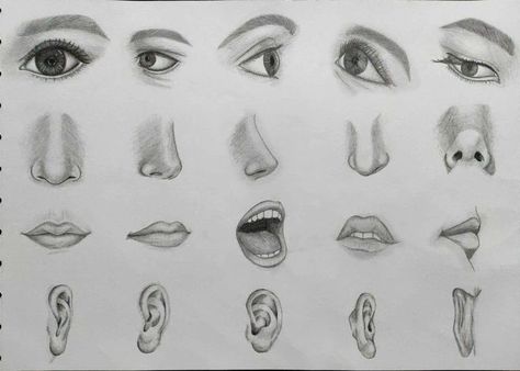 Eyes Nose Lips Ears Drawing, Eyes Nose Lips Sketch, Nose And Lips Drawing, Nose Sketch, Ears Drawing, Ear Drawing, Color Wheel Art Projects, Lips Sketch, Side Wrist Tattoos