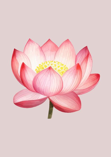 Lovely lotus in bloom! Purchase this lovely print and brighten up any space. A lotus flower has a great significance of growing through hard times as even though it has to grow through mud and water it still blooms on the other side. Also a lovely gift. Other digital flower and pribt packs available to purchase. Lotus Flower Leaf, Pink Lotus Flower, Lotus Flower Pictures, Digital Flower, Lotus Print, Digital Flowers, Print Pink, Hard Times, Wall Print