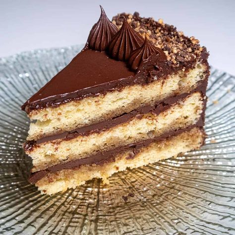 Gianduja Cake, Hazelnut Dessert, Cake Pastries, Lemonade Cake, Chocolate Hazelnut Cake, German Foods, Cool As A Cucumber, Lemon Mousse, Hazelnut Cake