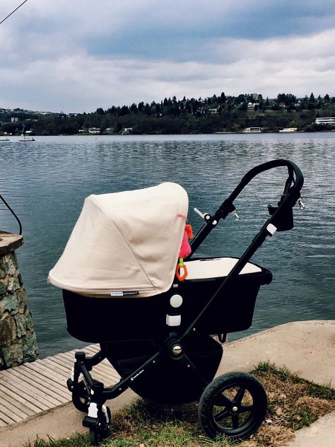 Cute Baby Strollers, Bugaboo Provincial Park, Bugaboo Donkey Twin, Bugaboo Cameleon 3 Plus, Bugaboo Buffalo, Bugaboo Stroller, Bugaboo Cameleon, Angel Baby Girl, Bugaboo Bee