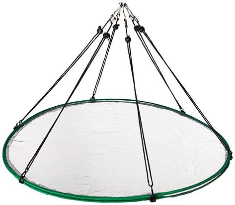 Amazon.com: Songbird Essentials 30" SeedHoop Seed Catcher & Platform Feeder: Pet Supplies Bird Seed Catcher, Bird Feeder Station, Finch Feeders, Backyard Birds Sanctuary, Bird Feeding Station, Bird House Feeder, Bird House Plans, Wild Bird Feeders, Feeding Station