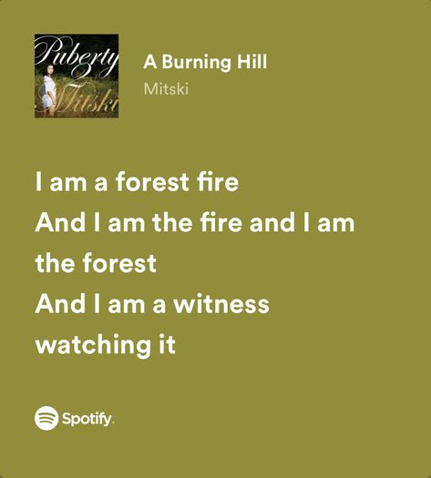 Meaningful Lyrics, Spotify Lyrics, Favorite Lyrics, Me Too Lyrics, Forest Fire, Just Lyrics, I Love Music, Film Serie, Pretty Lyrics