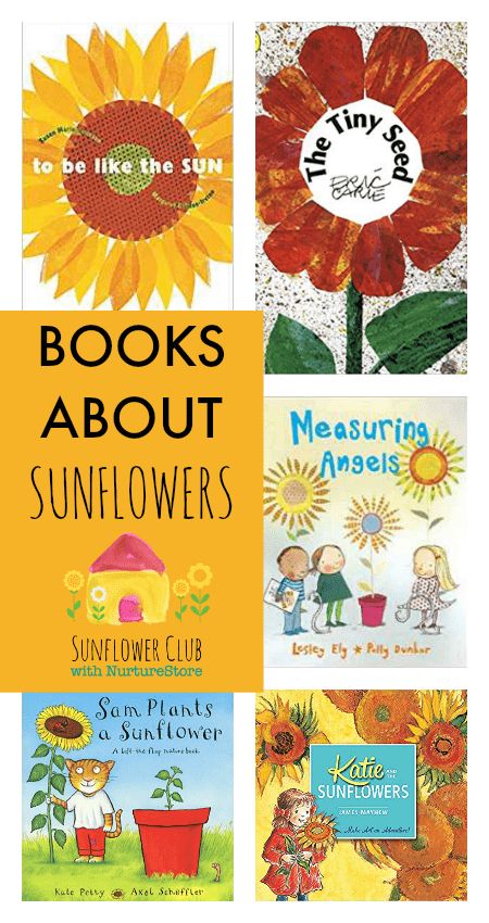 A roundup of gorgeous books all about sunflowers! So many lovely ideas for reading and enjoying this flower this summer with preschool and kindergarten kids! #bookforkids #sunflowerbooks Sunflower Life Cycle, Storytime Themes, Books For Preschoolers, Growing Sunflowers, The Tiny Seed, Sunflower Crafts, Sunflower Pictures, Preschool Books, The Sunflower