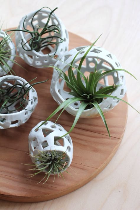 Ceramic Garden Decor, Air Plants Diy, Ceramic Containers, Air Plants Decor, Sage Garden, Air Plant Display, Garden Pottery, Garden Terrarium, Hand Built Pottery