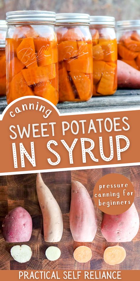 Pickled Sweet Potatoes, Canning Scalloped Potatoes, Canning Sweet Potatoes In Syrup, Canning Sweet Potatoes Raw Pack, Pressure Canning Sweet Potatoes, Canning Sweet Potatoes Recipes, How To Store Sweet Potatoes, Sweet Potato Canning Recipes, How To Can Sweet Potatoes