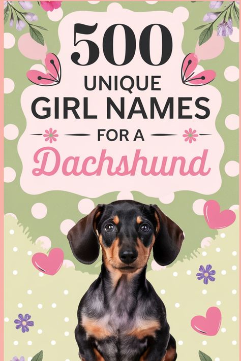 Explore a thoughtfully selected compilation of 500 unique, endearing, and delightful names tailored for your dachshund pup. Whether you seek a sweet or elegant name, there's a perfect match within this list for your newest four-legged companion. Discover the ideal moniker that complements your pet's individuality and charm from this assortment of female names handpicked exclusively for dachshunds. Pretty Girl Names, List Of Girls Names, Female Dog Names, Feminine Names, Unique Girl Names, Dachshund Dogs, Elegant Names, Name Crafts, Pet Guinea Pigs