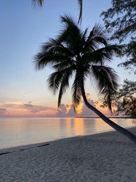 Sunset on Seven Mile Beach in Grand Cayman Art For Walls, Grand Cayman Island, Walls Art, Cayman Island, Island Pictures, Art Nouveau Art, Nouveau Art, Journal Art, Grand Cayman