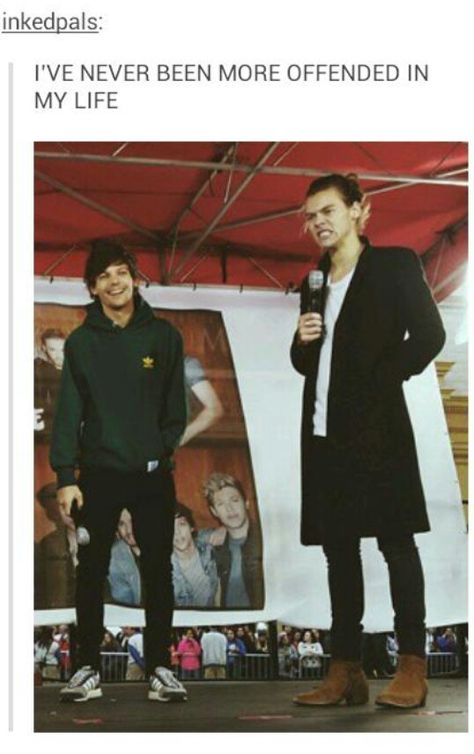 yoU REMEMBER WHEN THEY USED TO BE THE SAME HEIGHT?? LIKE WHAT HAPPENED?? OMF Princess Parking, Larry Shippers, Height Difference, Harry And Louis, Louis Harry, I Believe In Love, Harry Louis, Always In My Heart, Louis And Harry