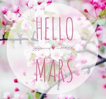 Bonjour Mars, Hello Mars, Good Day Wishes, Post Insta, Hello March, Hello December, Leap Year, Deco Floral, Day Wishes