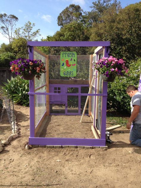 The purple palace chicken coop...costco chicken coop with custom extended run Purple Chicken Coop, Shed Chicken Coop, Chicken Coop And Run, Purple Palace, Coop And Run, Costco Chicken, Backyard Coop, Bunny Hutch, Chicken Ideas