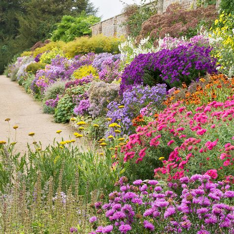 English Herbaceous Borders | Waterperry Gardens, Oxfordshire, UK | ( 2 of 50)… Herbaceous Border, English Gardens, Sloped Garden, Garden Wallpaper, English Cottage Garden, Garden Shrubs, Garden Landscape Design, Garden Borders, The Grove