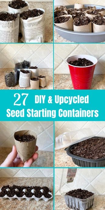 CHEAP & EASY SEED STARTING CONTAINER IDEAS - Our collection of 27 different seed starting containers diy ideas is sure to help you save money on your seed starting set up! Seed starting indoors DIY can reduce costs, plus it’s a fun gardening with kids ideas! Cheap seed starting containers and DIY seed starting pots are easy to make, using items you already have on hand. Check out all our seed starting ideas, including these 27 DIY seed containers, with newspaper pots DIY and more! Diy Seed Starter Pots, Diy Plant Starter Containers, Diy Plant Starters, Indoor Plant Starter Seed Starting, Diy Seed Planter, Herb Seed Starting, Seed Container Ideas, Potting Up Seedlings, Starting Seedlings Indoors