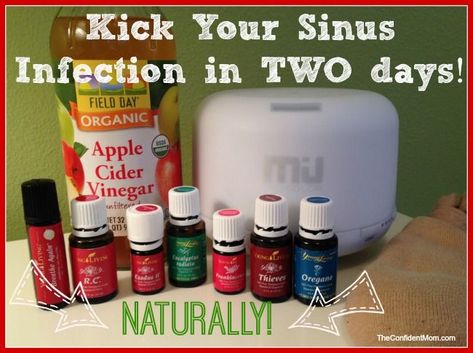 Young Living Essential Oils: Sinus Infection Oils For Sinus, Pressure Headache, Essential Oil Remedy, Sinus Pressure, Yl Oils, Oil Remedies, Essential Oils Health, Yl Essential Oils, Living Essentials Oils