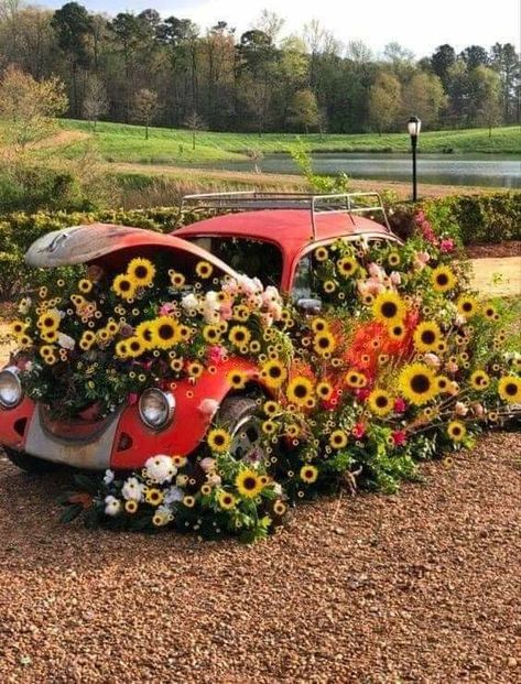 Car Yard, New Year Wishes Images, Flower Car, Vw Vintage, Volkswagen Car, Fall Mini, Giant Flowers, Vintage Vw, Classy Cars