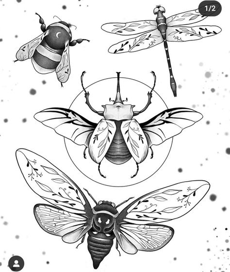 Beetle Tattoo Design, Cicada Tattoo, Pointillism Tattoo, Beetle Tattoo, Upper Back Tattoos, Insect Tattoo, Bug Tattoo, Stippling Art, Hawk Moth