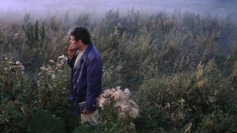 Occult Movies, Solaris 1972, Andrei Tarkovsky, Movie Shots, Keys Art, Harrison Ford, A Day In Life, Movie List, Film Stills