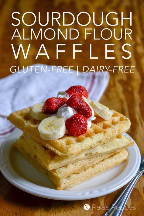 Sourdough Almond Flour Waffles are a perfectly fluffy and delicious meal to enjoy for breakfast! They're gluten-free, dairy-free, and have a grain-free option, as well. Sourdough Cakes, Gaps Breakfast, Dairy Free Scones, Sprouted Recipes, Sourdough Waffles, Almond Flour Waffles, Paleo Breakfasts, Fodmap Breakfast, Baking Healthy