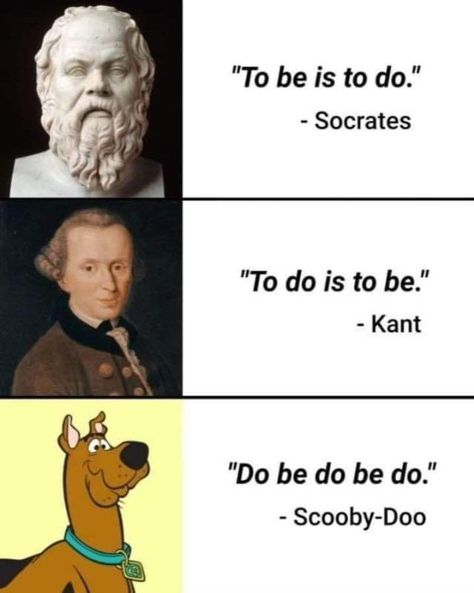 Be Cool Scooby Doo, Scooby Dog, Scooby Doo Memes, Funny Effects, Classical Art Memes, Funny Dp, Funny Hamsters, Funny Paintings, Funny Disney Jokes