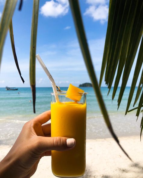 Wanna try a fresh mango smoothies, right at the beach with us? Let’s come here for a day or two 😎🏖🌅🌿🌴 #adangislandresort #discoverkohadang Beach Side Pictures, Mango Smoothie Aesthetic, Beach Smoothie, Mango Aesthetic, Food Shoot, Mango Cocktail, Seaside Cafe, Koh Lipe, Mango Lassi