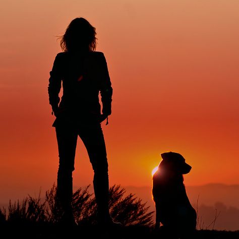 Me and Djembe a'top our sacred dune. Whenever it's time to go home, she waits til I am half-way down the steep dune before she barrels toward me like a runaway locomotive. It nevers gets old... Bday Photoshoot, Shadow Silhouette, Silhouette Photography, Sunset Silhouette, Silhouette Painting, California Sunset, Country Scenes, Dog Silhouette, Spring Fling