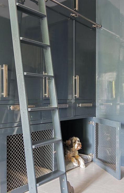 Glossy Gray Mudroom Ladder on Rails lacquer cabinets built in dog crate rolling ladder Dog Built Ins Spaces, Utility Ideas, Hollyhock House, Bedroom Built Ins, Dog Spa, Dog Spaces, Interior Design Contemporary, Dog Room, Mud Rooms