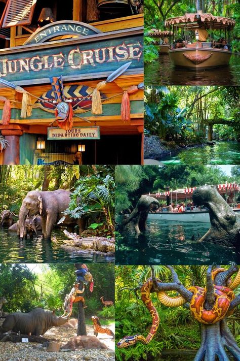 Disney Jungle Book Classroom Theme, Jungle Cruise Themed Room, Disneyland Jungle Cruise, Jungle Cruise Birthday, Jungle Cruise Decorations, Jungle Cruise Vbs Decorations, Jungle Cruise Decor, Jungle Cruise Aesthetic, Jungle Cruise Disneyland