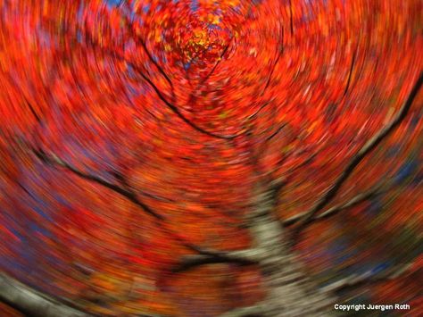 Mastering the Art of Intentional Camera Movement | Apogee Photo Magazine Panning Photography, Motion Blur Photography, Movement Photography, Camera Techniques, Image Composition, Blur Photography, Camera Movements, Creative Photography Techniques, Multiple Exposure