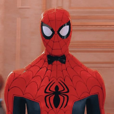 Peter B Parker Icon, Spidey Icon, Peter B Parker, The Spider, Spider Verse