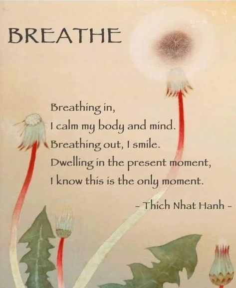 Zen Buddhism Quotes, Thich Nhat Hanh Quotes Mindfulness, Eckart Tolle, Thich Nhat Hanh Quotes, Buddhist Wisdom, Zen Quotes, Buddhism Quote, Buddhist Quotes, Thich Nhat Hanh