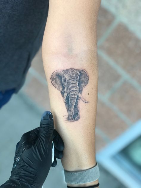 Micro realism elephant tattoo Micro Realism Elephant Tattoo, Microrealism Elephant Tattoo, Elephant Tattoos Realism, Realism Elephant Tattoo, Elephant Memorial Tattoo Mom, Elephant Portrait Tattoo, Elephant Remembrance Tattoos, Micro Realism Tattoo, Microrealism Tattoo