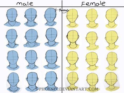 Male and Female face shape reference by S-Phoenix.deviantart.com on @DeviantArt Face Shapes Drawing Female, How To Draw Square Face, Male Vs Female Face Drawing Reference, Male And Female Face Drawing, Male Face Shape Drawing Reference, Face Porpotion Reference Drawing, Face Porpotion Reference, Male Vs Female Face Drawing, How To Draw Masculine Faces