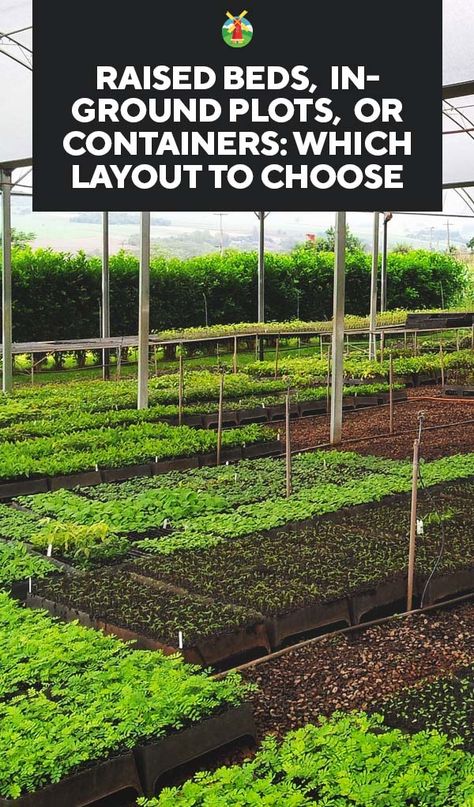 Raised Beds, In-Ground Plots, or Containers: Which Garden Layout to Choose Garden Plots Layout, Vegetable Beds, Best Garden Layout, Vegetable Garden Planner, Vegetable Garden Raised Beds, Garden Layout Vegetable, Building A Raised Garden, Garden Plots, Garden Design Layout