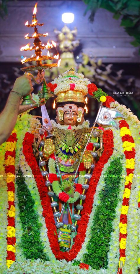 Thiruchenthur Murugan Hd Wallpaper, Murugan Photos Hd 4k Full Screen, Murugan Images Hd 4k, Lord Murugan Wallpapers 1080p, Murugan Hd Wallpaper, Lord Murugan Hd Wallpaper 4k, Lord Balaji Hd Wallpaper 4k, Subramanya Swamy, Surya Dev